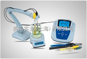P551 pH/mV/离子浓度/电导率/溶解氧测量仪
