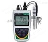 PH150便携式pH/ORP/温度测量仪